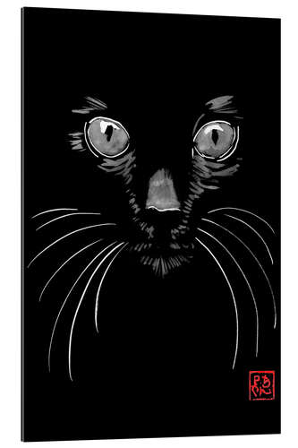 Quadro em plexi-alumínio Cat in Black