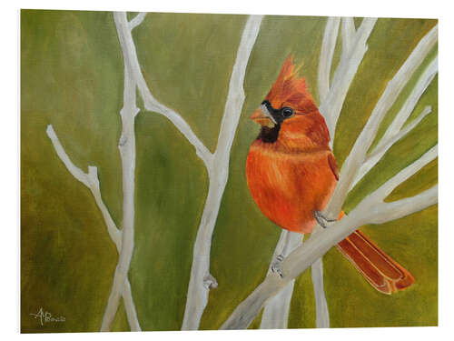 Foam board print Cutest Ambushed Cardinal