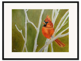 Gerahmter Kunstdruck Süßer Rotkardinal