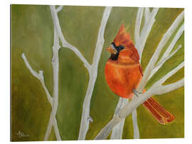 Gallery print Cutest Ambushed Cardinal