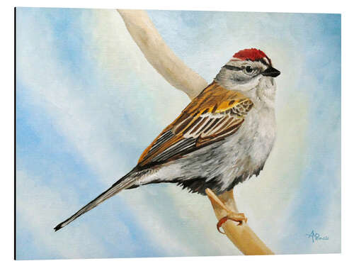 Aluminium print Chirping Sparrow