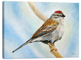 Canvas print Chirping Sparrow