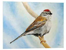 Foam board print Chirping Sparrow