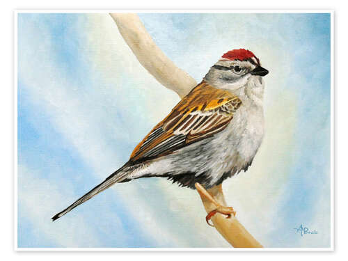 Poster Chirping Sparrow