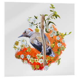 Acrylic print Gardenwatch Woodpecker