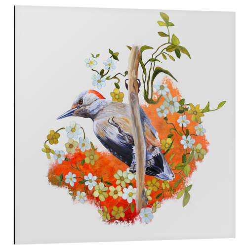 Obraz na aluminium Gardenwatch Woodpecker