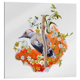 Gallery Print Gardenwatch Woodpecker