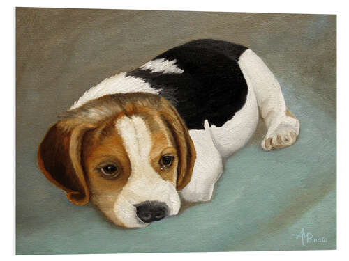 Cuadro de PVC Cute Beagle