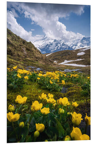 Hartschaumbild Blumen in den Schweizer Alpen