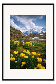 Gerahmter Kunstdruck Blumen in den Schweizer Alpen
