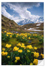 Vinilo para la pared Flowers in the Swiss Alps