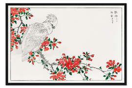 Gerahmter Kunstdruck Papagei auf dem Birnenbaum