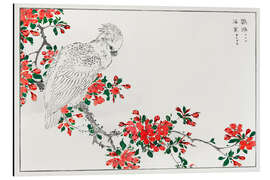 Magnettafel Papagei auf dem Birnenbaum