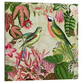 Aluminium print Jungle of Parrots