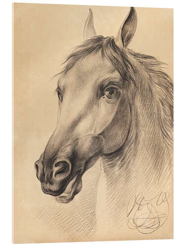 Acrylglas print Head of a Horse, Otto Grashof