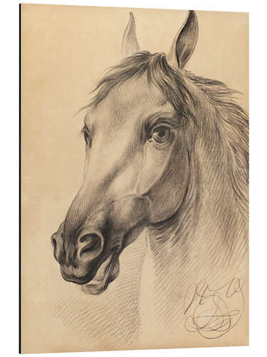 Tableau en aluminium Head of a Horse, Otto Grashof