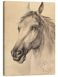 Canvas print Head of a Horse, Otto Grashof