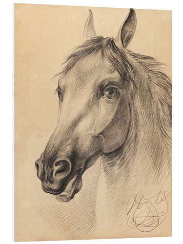 Foam board print Head of a Horse, Otto Grashof