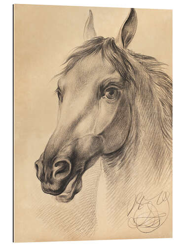 Galleritryck Head of a Horse, Otto Grashof