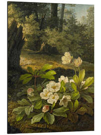 Tableau en aluminium Christmas Roses in the Forest, Pauline Halm, 1842