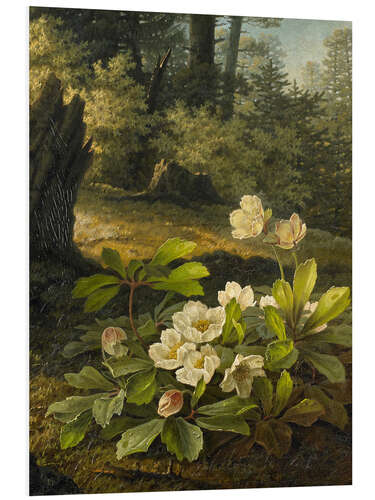 Foam board print Christmas Roses in the Forest, Pauline Halm, 1842