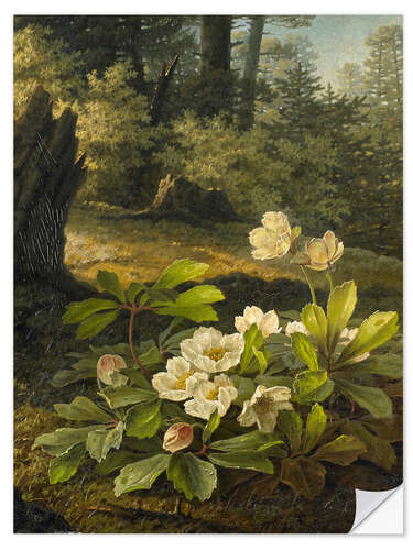 Wandsticker Christrosen im Wald, Pauline Halm, 1842