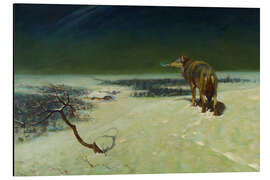 Aluminium print Lone Wolf in Winter Landscape