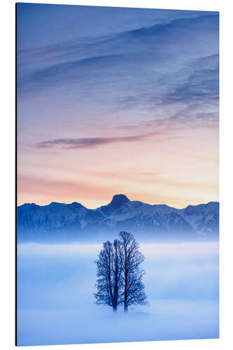 Tableau en aluminium Tree in a Sea of Fog in Front of the Stockhorn II