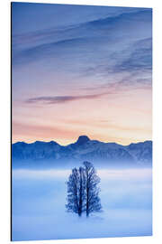 Aluminium print Tree in a Sea of Fog in Front of the Stockhorn II