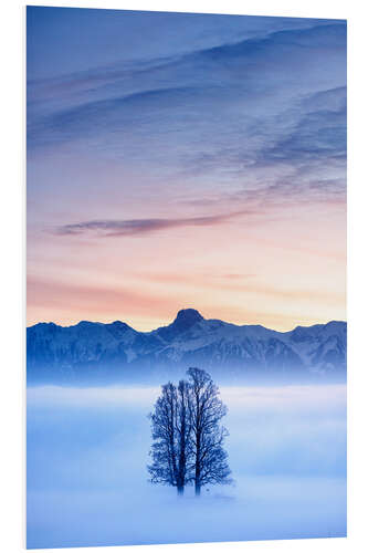 Foam board print Tree in a Sea of Fog in Front of the Stockhorn II