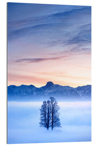 Tableau en plexi-alu Tree in a Sea of Fog in Front of the Stockhorn II