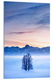 Gallery print Tree in a Sea of Fog in Front of the Stockhorn II