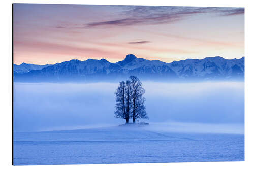 Tableau en aluminium Tree in a Sea of Fog in Front of the Stockhorn I