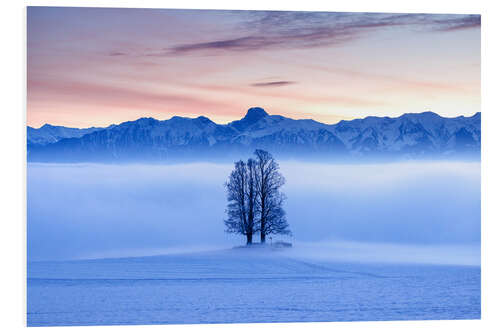 Bilde på skumplate Tree in a Sea of Fog in Front of the Stockhorn I