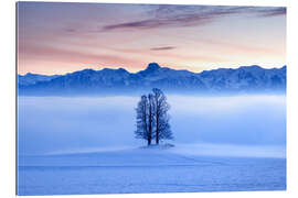 Quadro em plexi-alumínio Tree in a Sea of Fog in Front of the Stockhorn I