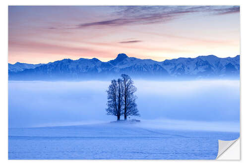 Wandsticker Baum im Nebelmeer vor dem Stockhorn I