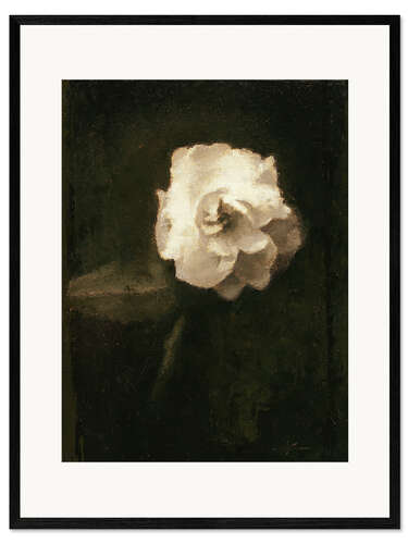Ingelijste kunstdruk The White Rose