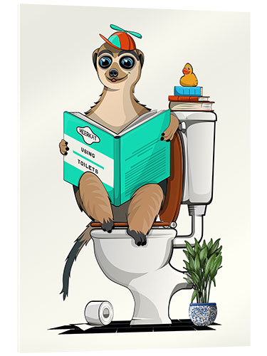 Acrylglas print Meerkat on the Toilet