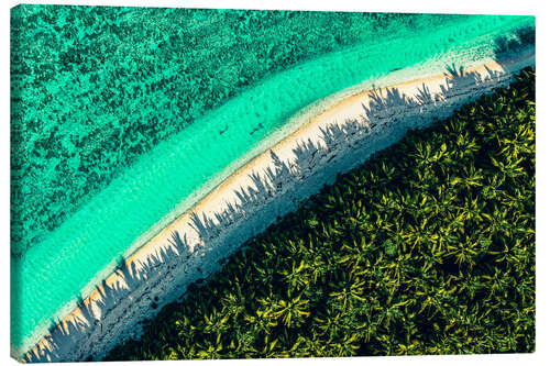 Obraz na płótnie Aerial View of Coral Reef, Australia