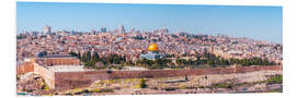 Foam board print Jerusalem City View