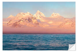 Selvklæbende plakat South Sandwich Islands