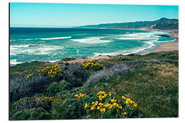 Quadro em alumínio Jalama Beach County Park, California