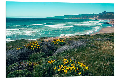 Bilde på skumplate Jalama Beach County Park, California