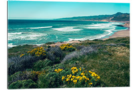 Gallery print Jalama Beach County Park, California