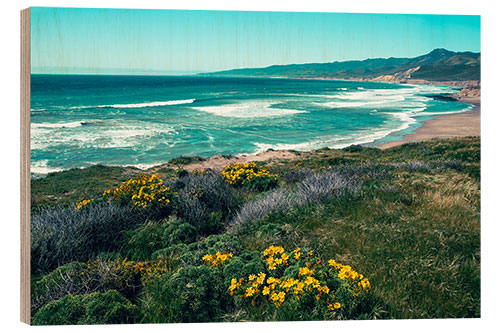 Holzbild Jalama Beach County Park, Kalifornien