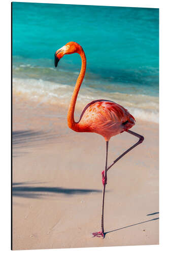 Tableau en aluminium Flamingo On The Beach