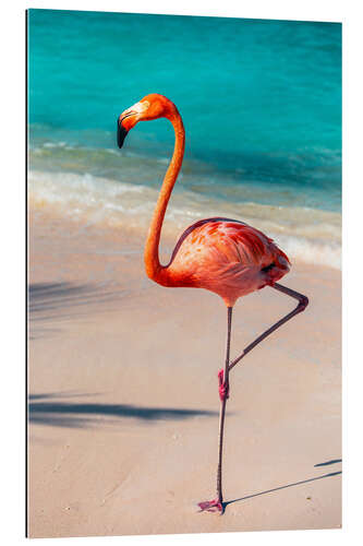 Gallery print Flamingo On The Beach