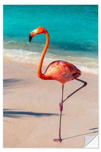 Selvklebende plakat Flamingo On The Beach