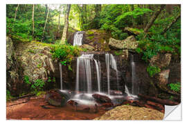 Selvklæbende plakat Waterfall in the Blue Ridge Mountains