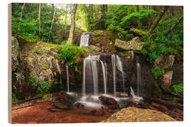 Wood print Waterfall in the Blue Ridge Mountains